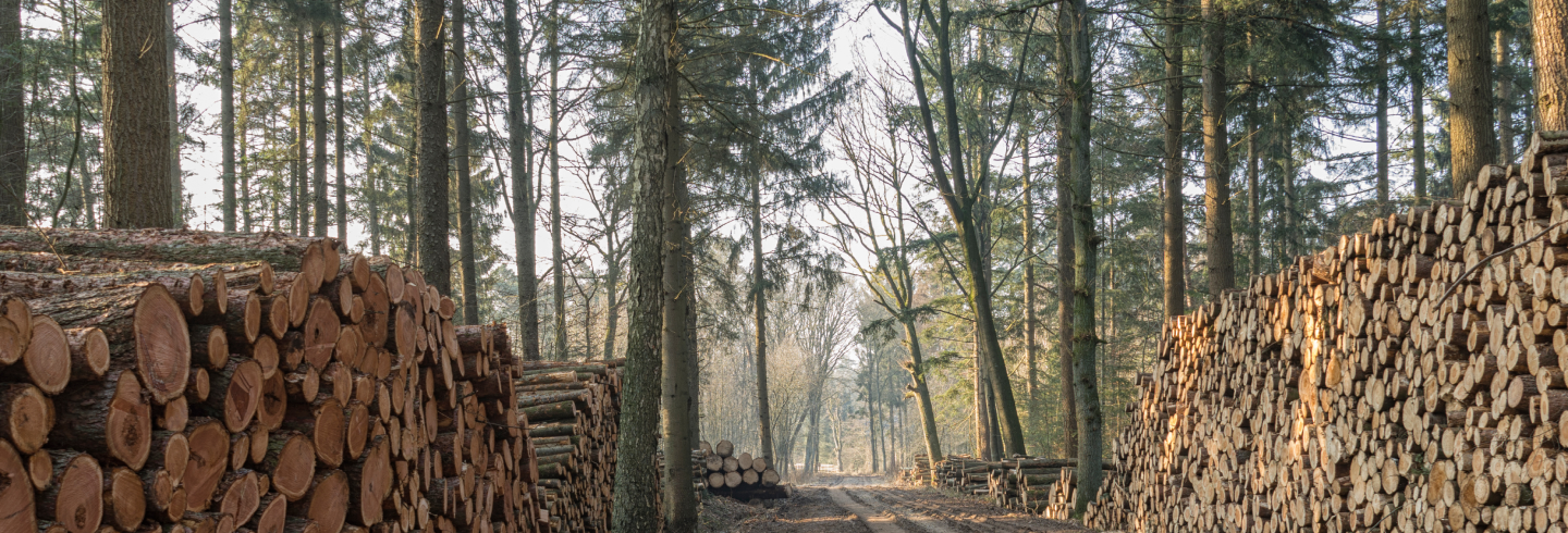 Stort engagement i VCØB Community