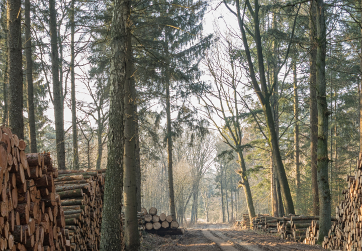 Stort engagement i VCØB Community