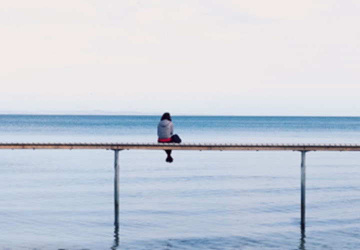 Dokumenteret bæredygtighed – fra ambition til effekt